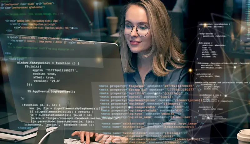 Software Development